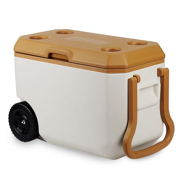 צידנית משפחתית | מתנות לקיץ